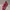 Nike Sportswear Pria red photo 2