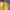 Abercrombie & Fitch Streetwear Hoody Pria yellow photo 4
