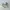 Nike Streetwear Sportswear Sneakers Pria multicolor photo 1