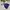 MLB Streetwear Casual Bomber Jacket Kids Navy