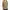 Michael Kors Casual Blouse Wanita tan gray photo 1