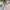 Dickies Minimalist Casual Windbreaker Kids white pink photo 2
