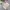 Dickies Minimalist Casual Windbreaker Kids white pink photo 7