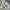 Futurist Harrington jacket Pria multicolor photo 2