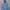 Kolon Sport Sportswear Casual Shirt Pria Gray Blue
