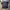 Made in USA Vintage Y2K T-shirt Pria black photo 4