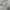 Pancoat Streetwear Casual Sweatshirt Kids gray photo 3