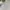 Pancoat Streetwear Casual Sweatshirt Kids Gray