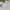 Pancoat Streetwear Casual Sweatshirt Kids gray photo 5