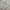 Pancoat Streetwear Casual Sweatshirt Kids gray photo 4