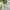 Pancoat Streetwear Casual Sweatshirt Kids gray photo 2