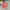 Casual Sweatshirt Kids orange photo 6