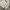 Fila Streetwear Avant Garde Sweater Pria Gray