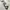 Fila Streetwear Avant Garde Sweater Pria gray photo 5