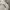 Fila Streetwear Avant Garde Sweater Pria gray photo 3