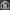 Airwalk Sportswear Track Jacket Pria Gray