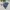 GAP Streetwear Casual Denim jacket Kids blue photo 6