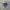 O'Neill Vintage Streetwear Bag Pria white green photo 2