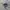 O'Neill Vintage Streetwear Bag Pria White Green