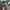 O'Neill Vintage Streetwear Bag Pria white green photo 5