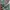 O'Neill Vintage Streetwear Bag Pria white green photo 4