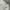 Fila Streetwear Sportswear Sweater Pria gray photo 3