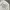Fila Streetwear Sportswear Sweater Pria gray photo 5