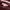 AeroStreet Casual Hoody Pria burgundy brown photo 3