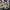 Japanese Brand Vintage Y2K Wallet Kids Multicolor Cream
