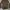 JOURNAL STANDARD Casual Formal shirt Pria green brown photo 1