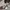 Casual Heels Wanita white black photo 4