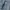 ZARA Streetwear Jeans Pria white blue photo 5