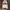 Adidas Streetwear Hoody Pria cream photo 1