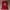 Nike Y2K Sportswear Jersey Pria red photo 1