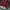 New Era Sportswear Hat Pria red photo 5