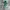 New Balance Streetwear Sneakers Pria green photo 1