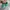 New Balance Streetwear Sneakers Pria green photo 4