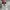 New Balance Streetwear Sneakers Pria gray photo 4