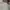 Big John Vintage Casual pants Pria cream photo 5