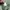 orSlow Streetwear Casual Casual pants Pria green photo 5