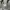 orSlow Streetwear Casual Casual pants Pria green photo 3