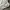 Uniqlo Luxury Casual T-shirt Kids white photo 4