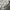 Uniqlo Luxury Casual T-shirt Kids white photo 3