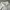 Uniqlo Luxury Casual T-shirt Kids white photo 2