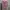 Sportswear Coquette Crop top Wanita pink photo 1