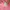 H&M Luxury Coquette Sweater Wanita white pink photo 3