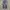EDWIN Vintage Jeans Pria multicolor photo 1