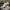 Adidas Casual Sneakers Pria white green photo 4