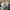 Adidas Casual Sneakers Pria white green photo 5