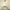 Kappa Vintage Sportswear Jersey Pria cream photo 2